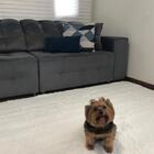 Tapete Peludo Luxo 140x200 Shaggy Off-white