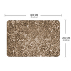 Tapete Peludo Para Sala Quarto Macio - Casu 300x200cm Bege