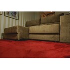 Tapete Peludo Pelo Curto Decoração Quarto 1,50x1,00 Bôrdo