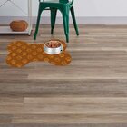 Tapete Pet Patinhas Marrom