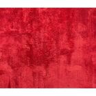 Tapete Pratatêxtil 0,50m X 1,00m Antiderrapante. Cereja