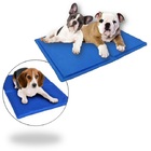 Tapete Refrescante Gelado Para Cães Pets Casa
