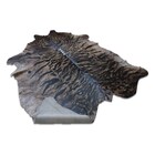 Tapete Sala Couro Inteiro Animal Print Tigre