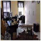 Tapete Sala Couro Inteiro Animal Print Tigre