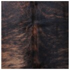 Tapete Sala Formato Do Boi