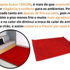 Tapete Suave 150x200 Cor: Vermelho