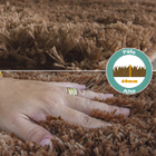 Tapete Suécia Para Decoração Da Casa Belos Pelos Antialérgico