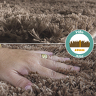 Tapete Suécia Para Decoração Da Casa Belos Pelos Antialérgico