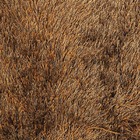 Tapete Tokio 90mm 1,40x2,00 - Asiatex - Marrom