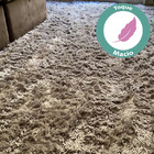 Tapete Vários Tamanhos  Cor Bege Casen  200x240cm