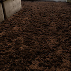 Tapete Vários Tamanhos  Cor Tabaco Casen  300x200cm