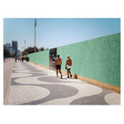 Tapume 1,22x2,20mx12mm LP Brasil