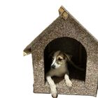 Tapume Ecológico Plástico Reciclado Multiuso 220x110cm 4mm Cinza Ibaplac