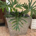 Tapume Ecológico Plástico Reciclado Multiuso 220x110cm 4mm Cinza Ibaplac