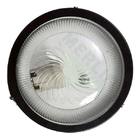 Tartaruga Ferro Redondo Preta Franzmar