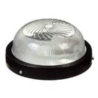 Tartaruga Ferro Redondo Preta Franzmar