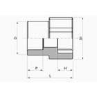 Tê com Rosca Central Fêmea Polipropileno PPR 25mmx/2" Tigre