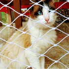 Tela / Rede De Proteção 3,00x4,00m Na Cor Branca