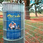 Tela Alambrado Soldada Morada (fio 2,30mm / Malha 5x15cm) - R