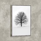 Tela Canvas Com Moldura Arvore