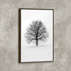 Tela Canvas Com Moldura Arvore