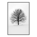 Tela Canvas Com Moldura Arvore