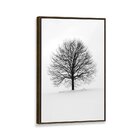 Tela Canvas Com Moldura Arvore