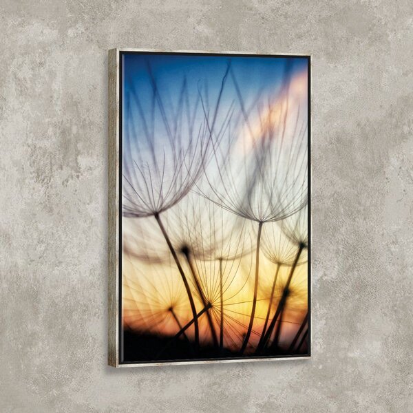 Tela Canvas Com Moldura Dente De Leão