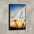 Tela Canvas Com Moldura Dente De Leão