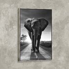 Tela Canvas Com Moldura Elefante