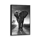 Tela Canvas Com Moldura Elefante