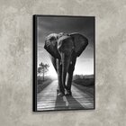 Tela Canvas Com Moldura Elefante