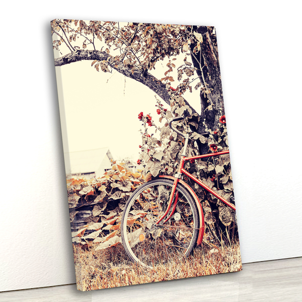 Tela Canvas Esporte Bicicleta Vermelha 55x80 Vertical 4