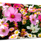 Tela Canvas Floral Desenho De Flores 120x80 Horizontal 6