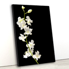 Tela Canvas Floral Orquídea 55x80 Vertical 1