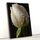 Tela Canvas Floral Rosa Branca 80x120 Vertical 1