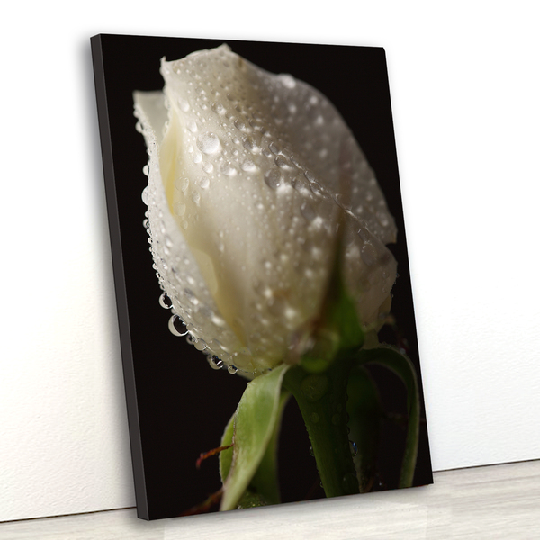 Tela Canvas Floral Rosa Branca 80x120 Vertical 1