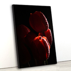 Tela Canvas Floral Tulipa 55x80 Vertical 1