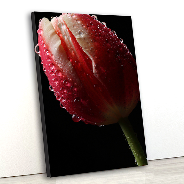 Tela Canvas Floral Tulipa 80x120 Vertical 4