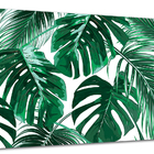 Tela Canvas Folhagem Folhas Tropicais 120x80 Horizontal 13