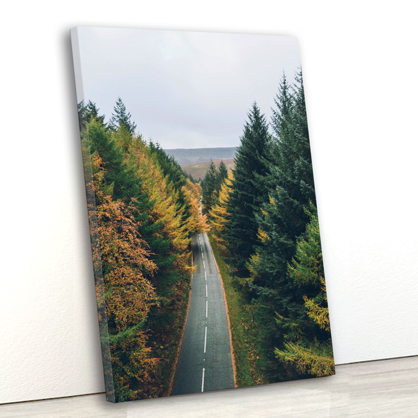 Tela Canvas Paisagem Estrada 55x80 Vertical 3