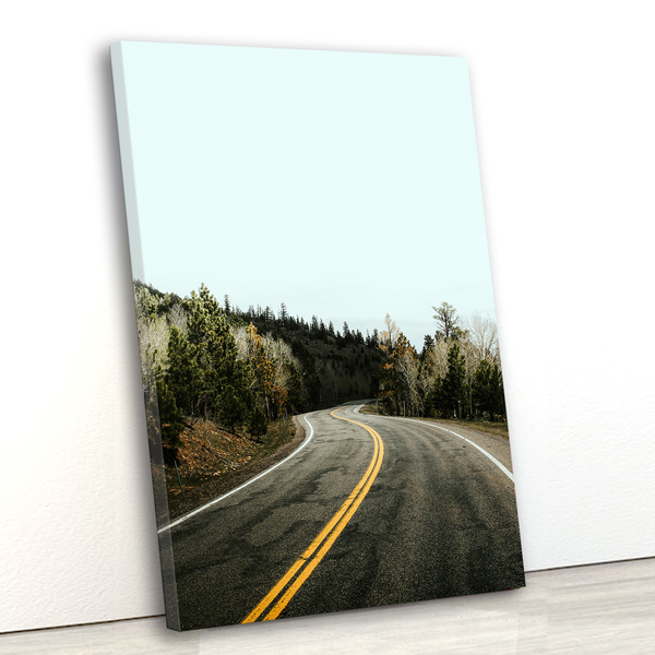 Tela Canvas Paisagem Estrada 55x80 Vertical 8