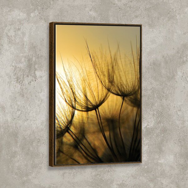 Tela Canvas Pôr Do Sol E Dente De Leão Com Moldura