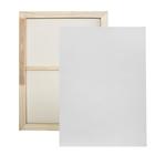 Tela Comum Para Pintura 100x120cm