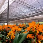 Tela De Sombreamento 70% De 3,00 X 50