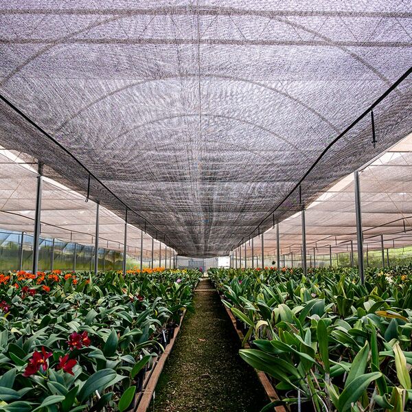 Tela De Sombreamento 70% De 3,00 X 50