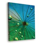 Tela Decorativa Dente-de-leão E Gotas De Orvalho - 30x40cm