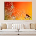 Tela Decorativa Dente-de-leão Fundo Laranja