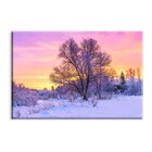 Tela Decorativa Entardecer De Inverno