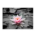 Tela Decorativa Flor Vitória Régia